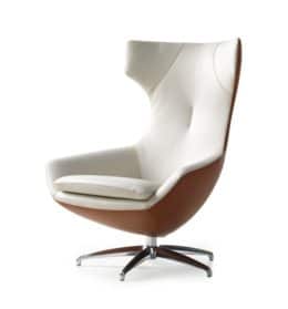Caruzzo Fauteuil Leolux