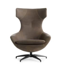 Caruzzo Fauteuil Leolux